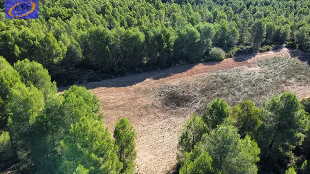 EN VENTA FINCA DE VIÑEDOS EN COFRENTES DE 209 HECTAREAS — 13