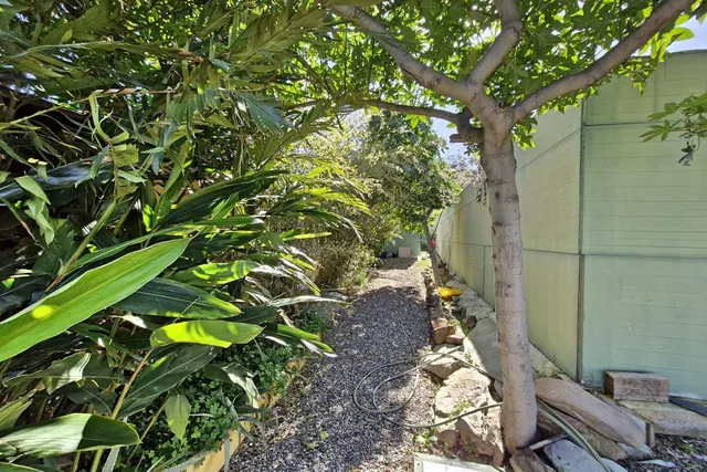 Finca Agrícola 3 habitaciones 163m² en venta - South of spain — 42