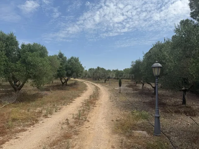 Finca exclusiva en Santa Oliva (Baix Penedès) - foto 4