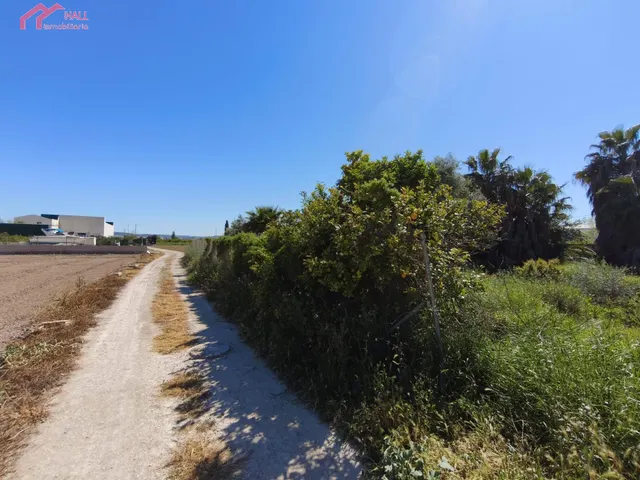 PARCELA RUSTICA EN EL SISCAR — 6