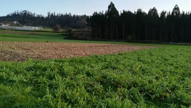 TERRENO Y EDIFICIO EN VENTA — 11