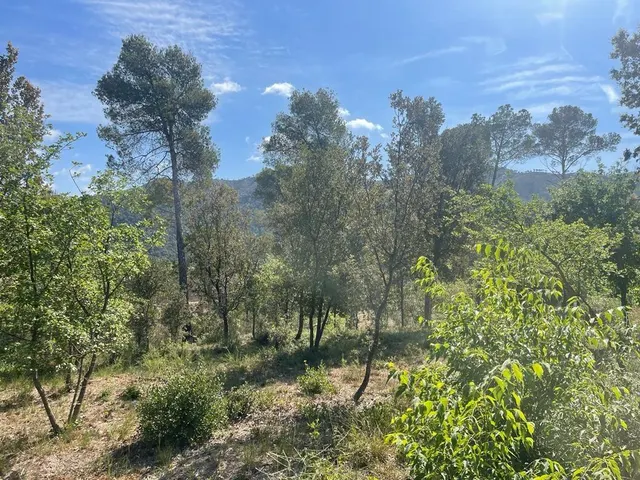 TERRENO EN CA L´ANTON — 4