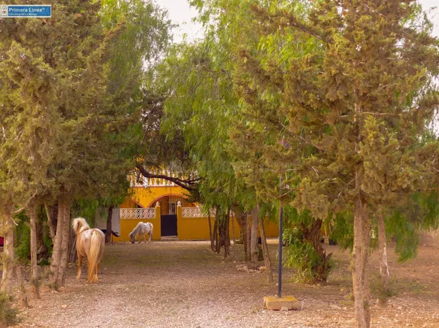 Venta de casa con 9 dormitorios y terreno de 11.000 m2 en el - foto 5