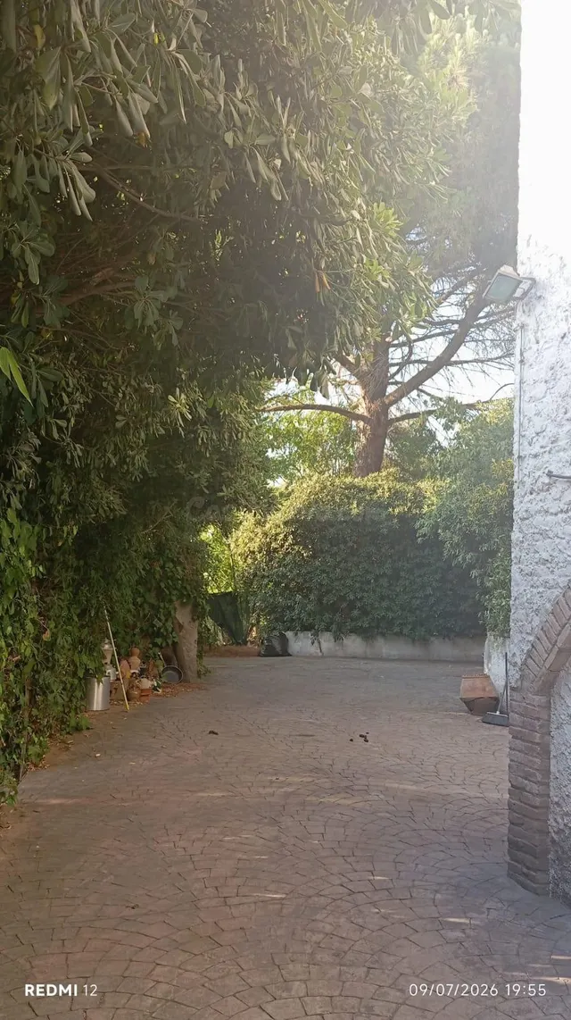 INCREIBLE CASA FAMILIAR CON SOLERA — 4