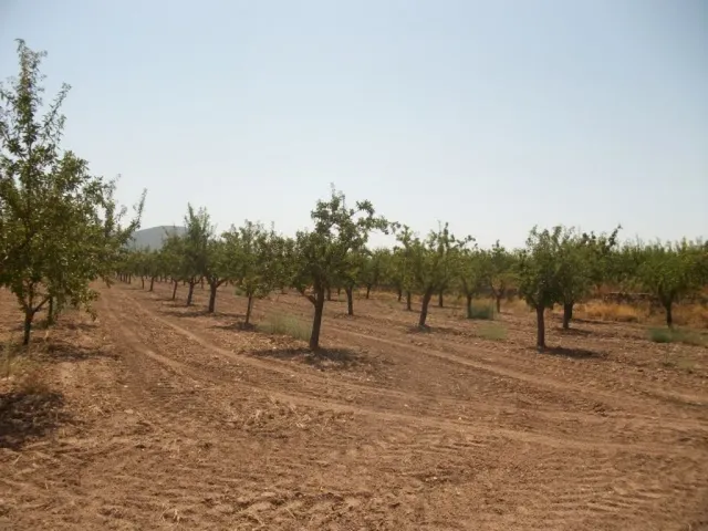 PARCELA CON AGUA — 5