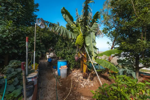Finca rústica con casa terrera y vistas al mar en tierra del trigo, los silos — 25