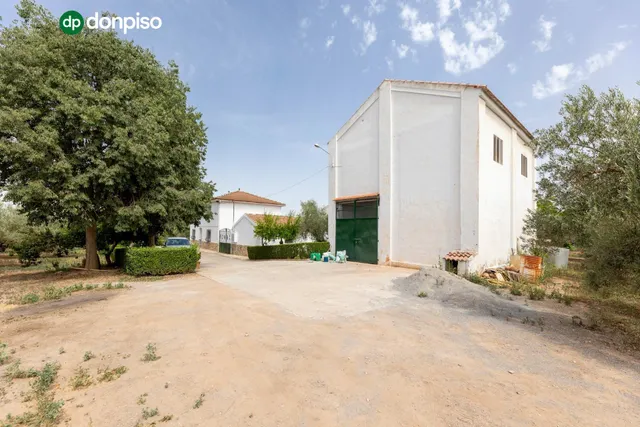 Finca en el término "Los LLanos " en Moraleda de Zafayona a 20 minutos de Granada Capital — 33