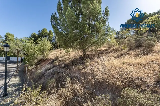 PARCELA 610 M2 EN CORTIJO DE LA LUZ, OTURA. — 8