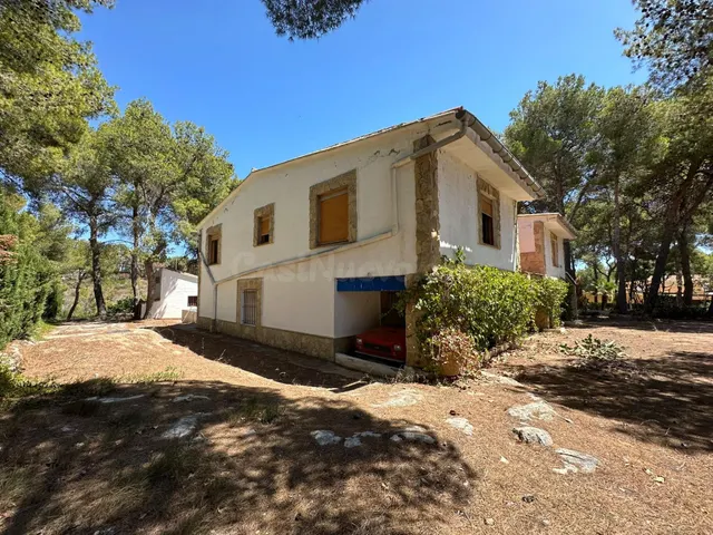 CHALET EN CARLET. PI DE LA CABRA CON LUZ Y AGUA. - foto 3