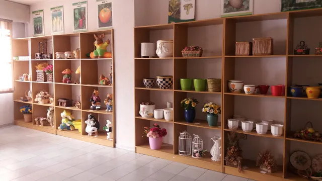 ALQUILER LOCAL COMERCIAL EN MOZONCILLO — 7