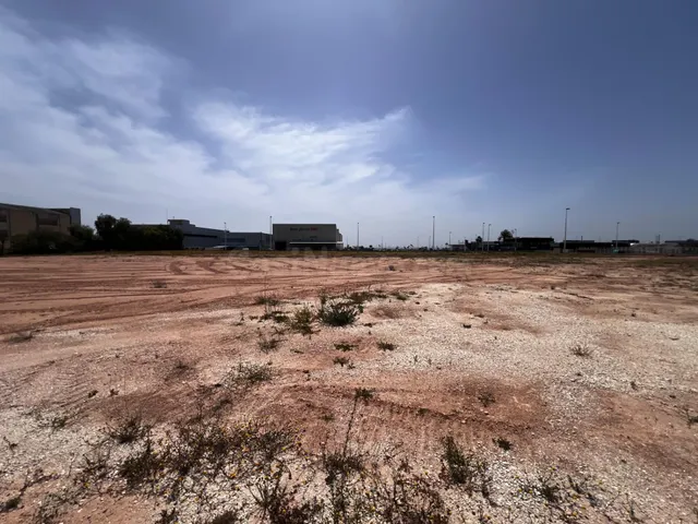 Parcela urbanizada en zona industrial de Elche. - foto 3