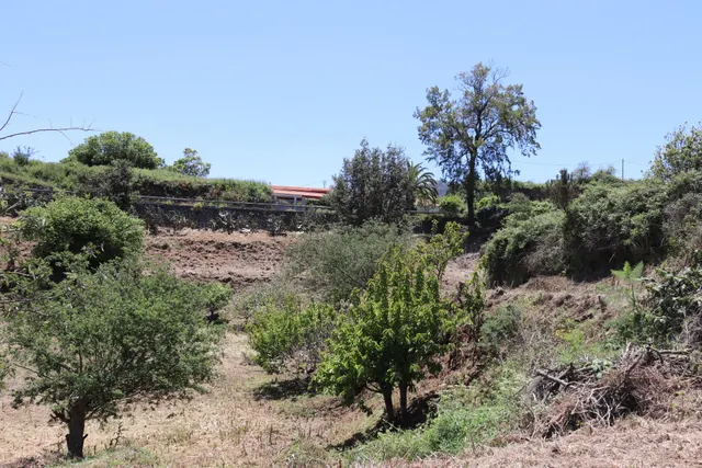 Terreno Agrario en Venta â Zona de Erjos (municipio de Los Silos / El Tanque) — 11