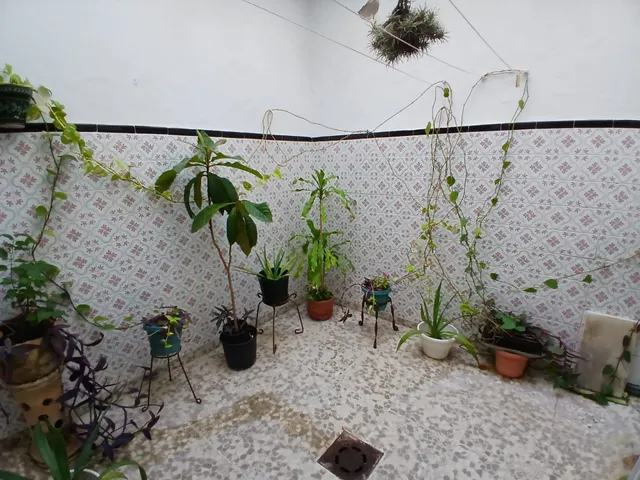 Casa independiente con garaje — 13