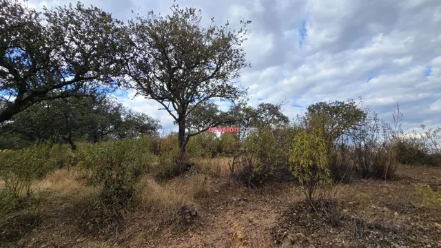 FINCA RUSTICA CON VIVIENDA — 7