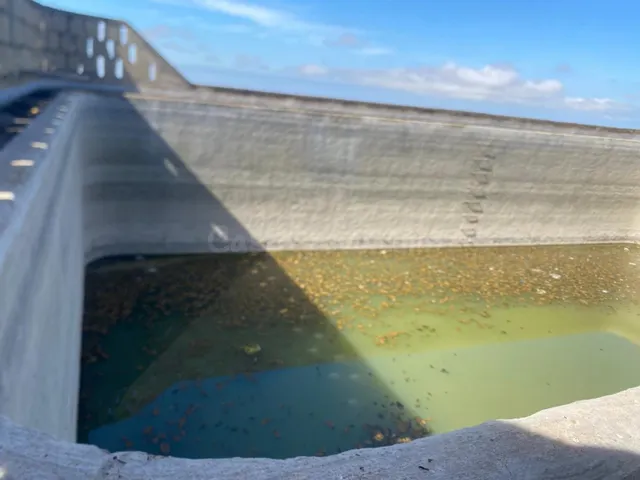 Magnífica finca en Charco del Pino, Granadilla de Abona. - foto 3