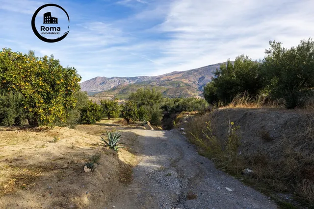 ¡Oportunidad única! Dos Fincas rústicas de mas de 15.000 m2  - foto 3