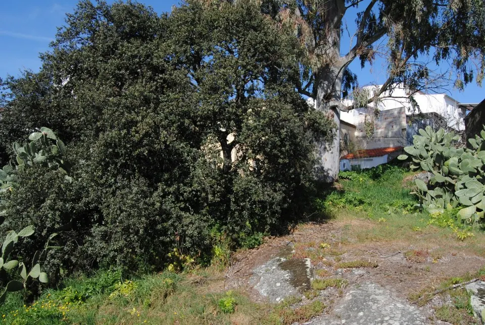 VENTA TERRENO URBANO