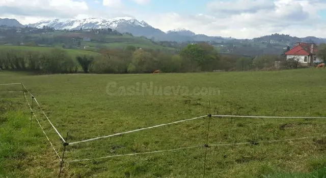 Piso 1428m² en venta - San Claudio-Trubia-Las Caldas - foto 2