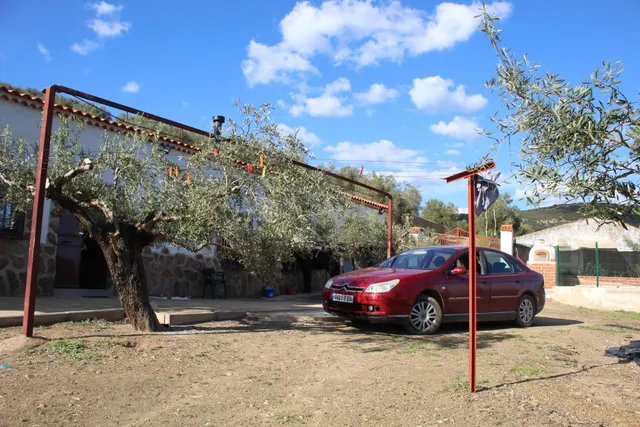 MAGNIFICO OLIVAR CON CASA, COCHERA PARA APEROS Y PISCINA ENTRE VILLAHARTA Y POZOBLANCO. — 7