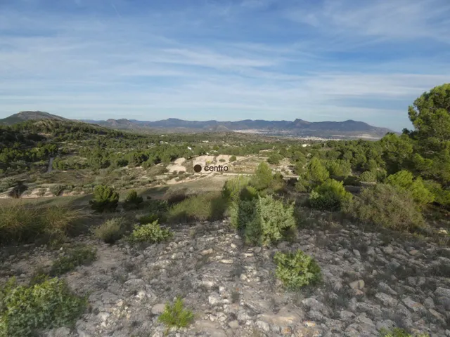 Parcela de 10.041m2 en Monovar - Collado Victoriano — 9