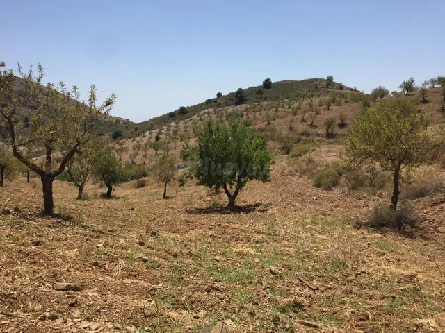 Espectacular Finca en Lorca con Vistas Impresionantes y Gran - foto 4