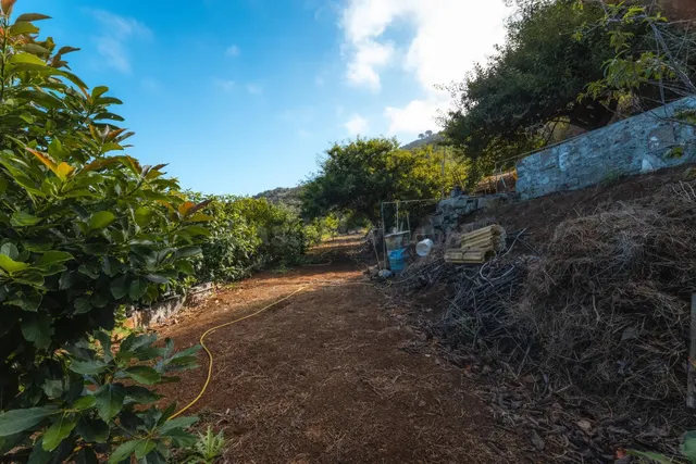 Finca rústica con casa terrera y vistas al mar en tierra del trigo, los silos — 27