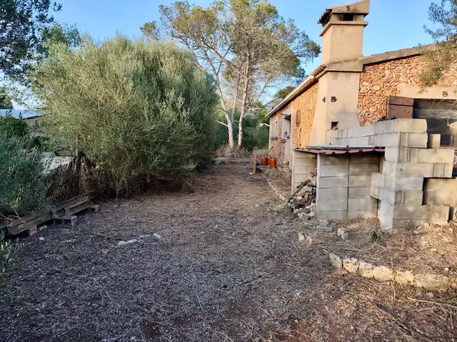FINCA RÚSTICA AUTOSUFICIENTE EN ALGAIDA — 8