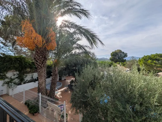 ESPECTACULAR FINCA CON CASA, PISCINA PRIVADA Y PLANTACIÓN DE LIMONEROS EN JACARILLA — 16
