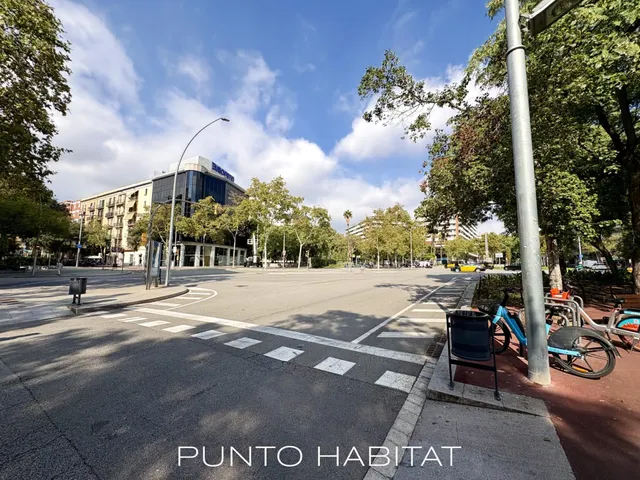 Oportunidad en Les Corts — 49