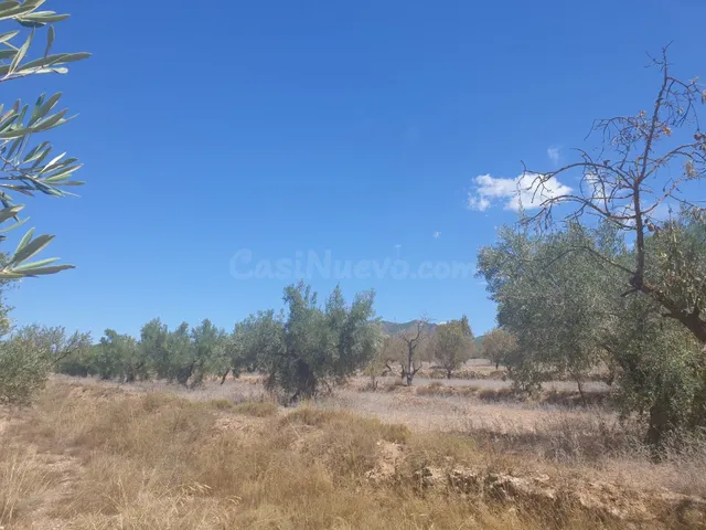 Rústico de ensueño en Biar, Comunidad Valenciana - foto 3