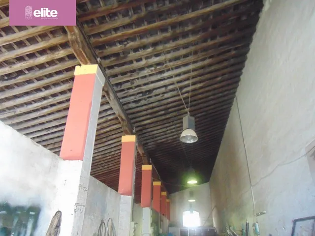 GRAN CASCO DE BODEGA — 6