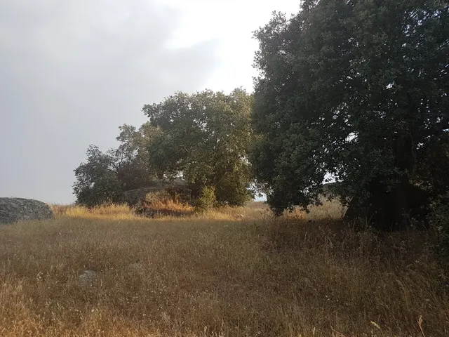Terreno rural en venta - Alrededores — 7
