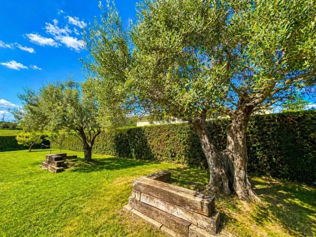 Encantadora casa a 4 vientos con gran parcela y vistas al Mo - foto 4