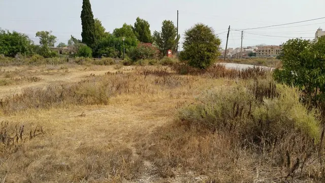 SE VENDE TERRENO EN ASPE, ALICANTE, ESPAÑA, SPAIN. - foto 3