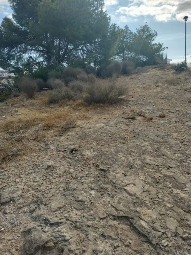 Parcela en venta en Ciudad Quesada – 6.900 m2 - foto 3