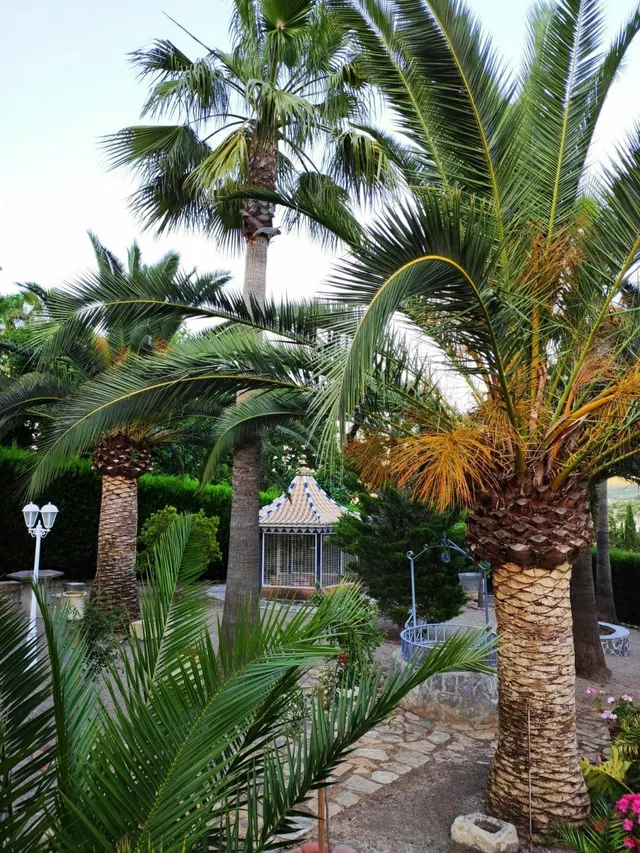 Estupendo chalet en venta — 31