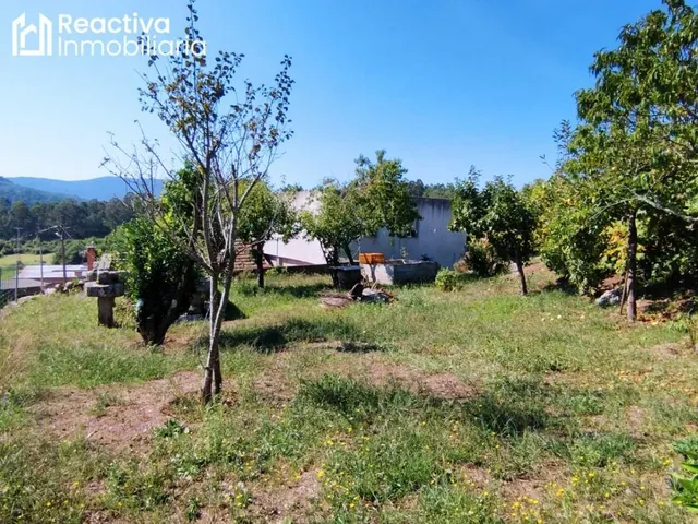 Casa de 3 habitaciones con finca. — 20