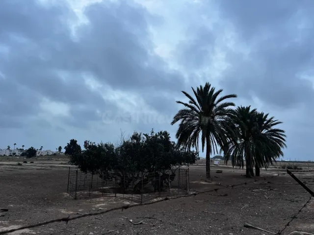 Parcela en alquiler - San Javier - foto 2