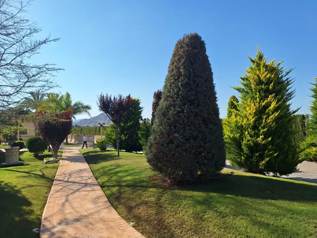 Chalet de lujo en venta en Aspe — 46