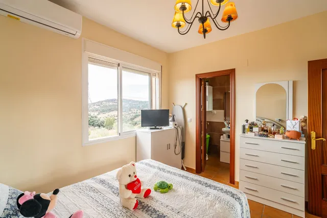 Restaurante 1 habitación 429m² en venta - South of spain — 24