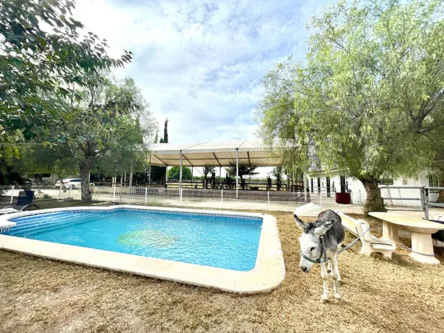Casa de campo 3 habitaciones 130m² en venta - Montepinar-La Aparecida-Raiguero — 8