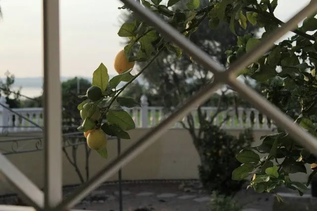 Villa 6 habitaciones 338m² en venta - La Siesta - El Salado - Torreta — 40