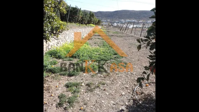 SE VENDE TERRERENO RURAL EN BERJA CON CORTIJO — 17