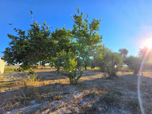 Parcela segregada de 2.235 m/2  en el marquesado con cuarto de aperos y pozo – Chiclana de la Frontera — 5