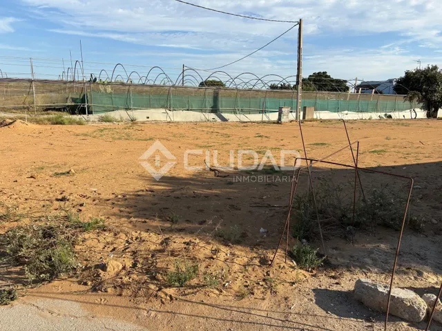 Terreno rural en venta - La Jara - foto 5