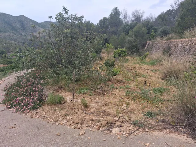Terreno rural en venta - Comunidad valenciana - foto 3