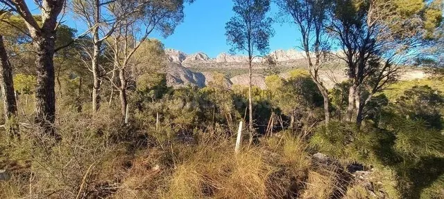 Magnífica parcela urbana en Altea la Vella con proyecto visa - foto 5