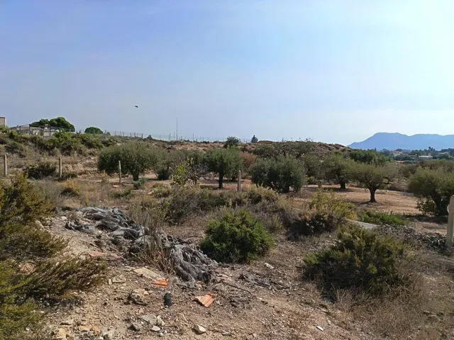 SE VENDE TERRENO DE 12.000 MTS / ZONA CAÑADA / CERCA DE LA C - foto 2