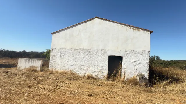 FINCA DE ENCINAR EN EL CERRO DEL ANDÉVALO — 12