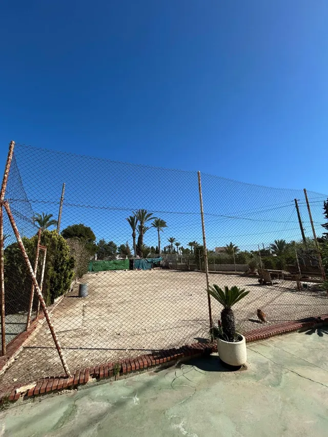 BUSCAS UN CAMPO A 2 MINUTOS DE ELCHE ? — 13
